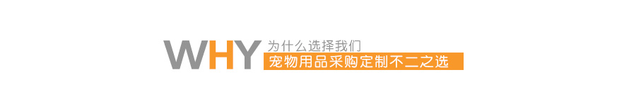寵物兔子變身裝