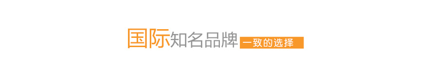 寵物兔子變身裝