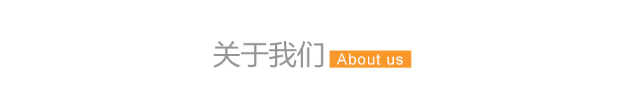 寵物兔子變身裝
