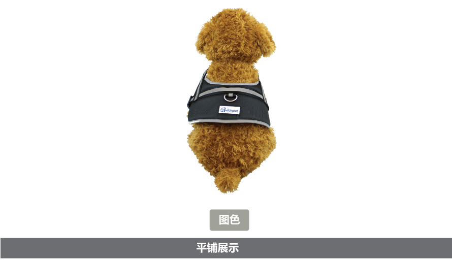 寵物牽引