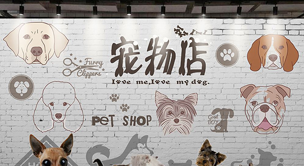寵物用品