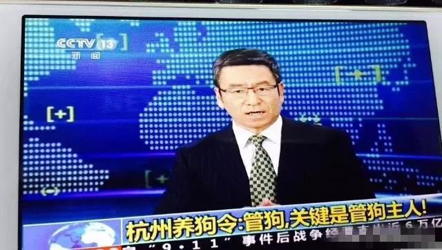 寵物牽引繩