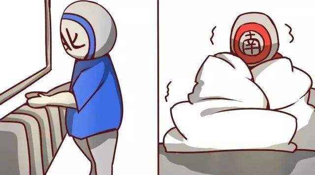 寵物衣服