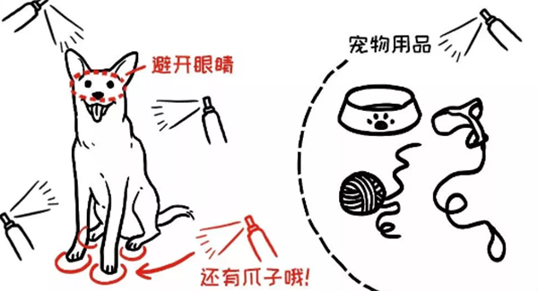 寵物用品