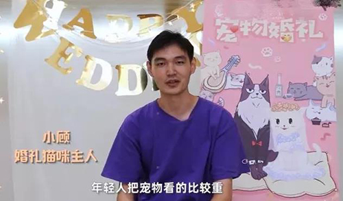 寵物衣服